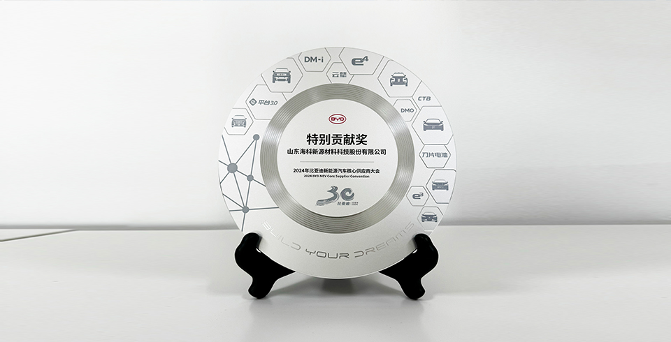 乐动平台网站-乐动(中国)一站式服务平台连续四年再度荣获比亚迪2024年“特别贡献奖”