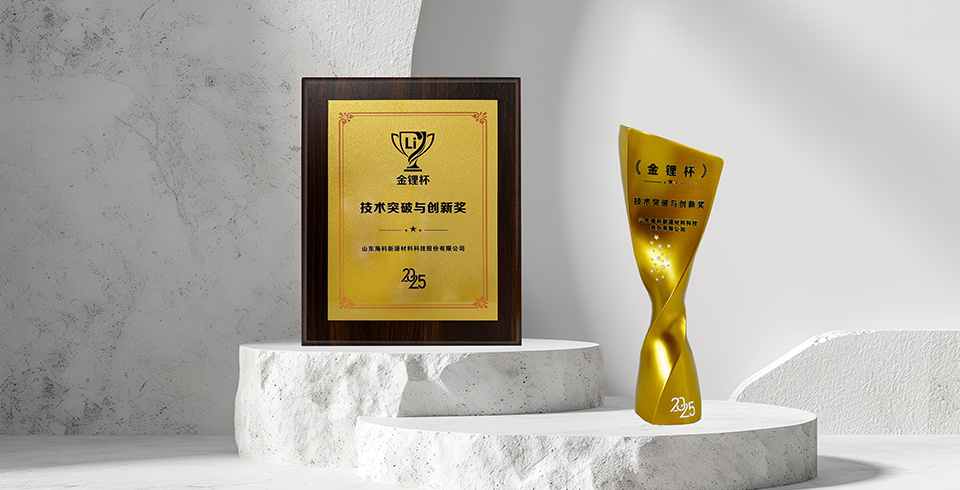 喜报 | 乐动平台网站-乐动(中国)一站式服务平台荣获真锂研究“技术突破与创新奖”